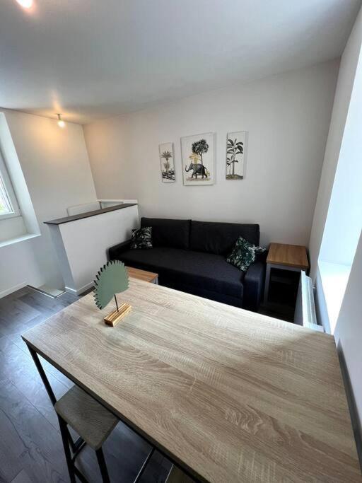 Le Wilson Dijon Centre Appartement Buitenkant foto